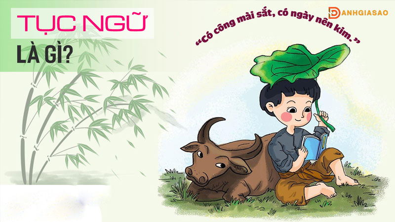 tuc-ngu-la-gi-dac-diem-va-cach-phan-biet-tuc-ngu-thanh-ngu-danhgiasao