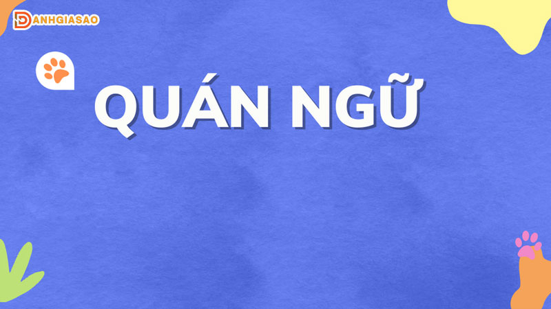 quan-ngu-la-gi-dac-diem-cau-tao-va-nhung-vi-du-ve-quan-ngu-danhgiasao