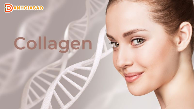 Collagen-duc-loai-nao-tot-top-5-san-pham-noi-bat-danhgiasao