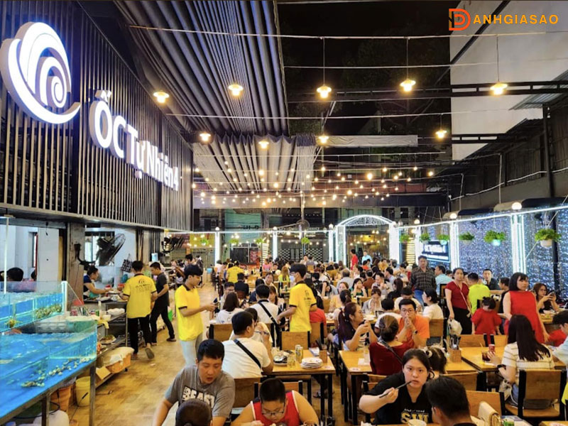 Khong-gian-quan-oc-tu-nhien-vung-tau-1-danhgiasao