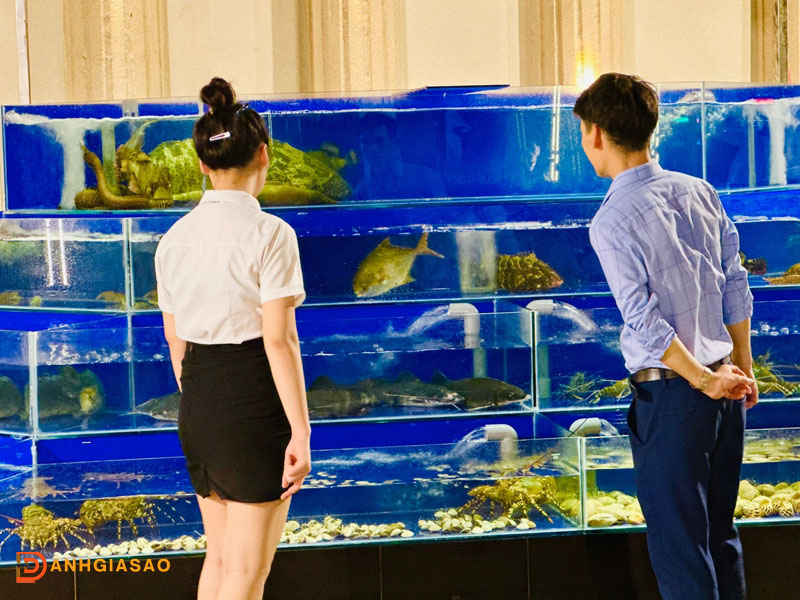 Danh-gia-ve-nha-hang-kim-dung-1-danhgiasao