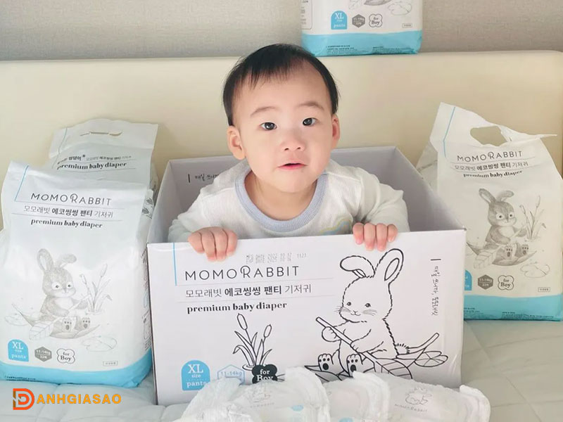 Bim-momo-rabbit-co-tot-khong-1-danhgiasao